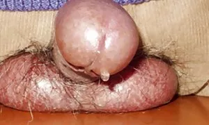 Le films x arabe sexe oral avec la bite blanche africaine babe